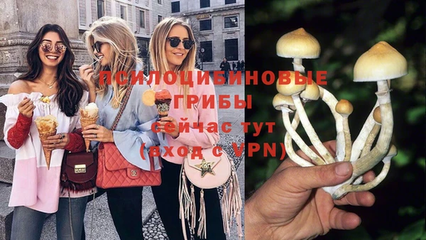 хмурый Весьегонск